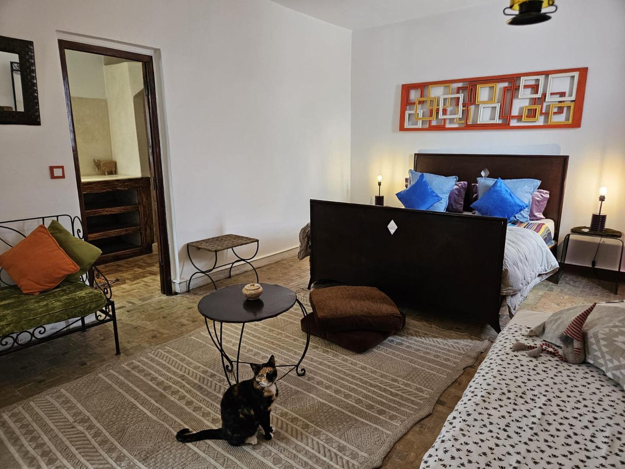 Les Terrasses D'Essaouira - Yoga Studio Exteriör bild